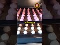 ¿Quieres Dominar el Arte de los Merengues Perfectos?
