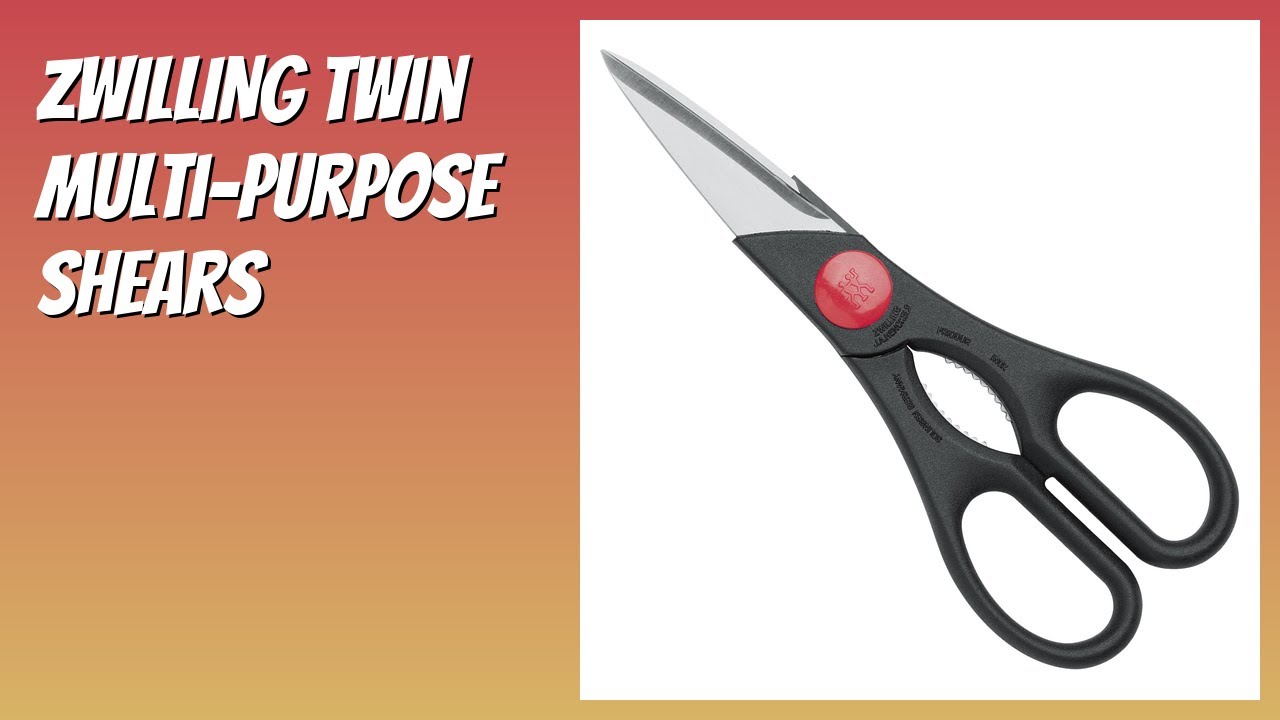 REVIEW (2026): ZWILLING Twin Multi-Purpose Shears. Features
