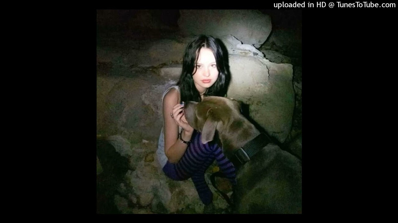 yhapojj diary plugg type beat