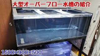 フルセット1500×600×600 オーバーフロー水槽フルセット アロワナ フルセット1500×600×600 オーバーフロー水槽フルセット アロワナ