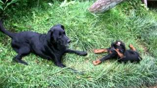 DSCF4799.avi