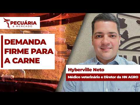 Números das exportações de carne bovina para o mês de julho mostram demanda firme