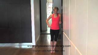 Physio Low Back Exercises: Side Glides (McKenzies)