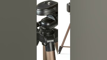 Amazon Basics 50-inch Lightweight Camera Mount Tripod Stand With Bag
