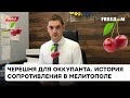 😈Отравленная черешня для россиян! Федоров рассказал, как фермеры борются с оккупантами