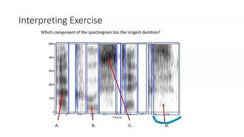 CSD3084 Spectrogram Basics