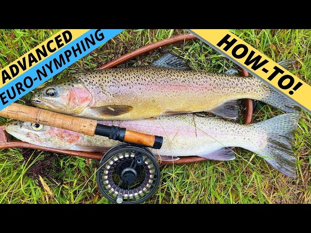 HOW-TO: Catch More Trout Using a Deadly Fly Fishing Method 