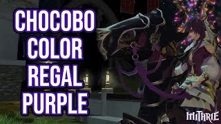 FFXIV 2.35 0398 Chocobo Color (Regal Purple)