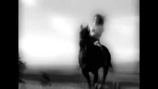 My Immortal Flicka 2