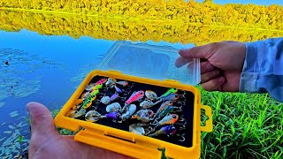 картинка: ТЕЙЛ-СПІНЕР РВЕ ОКУНЯ! Ловля Окуня на Десні на Тейл Спінер