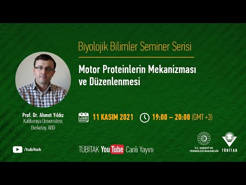 Video: Motor proteinleri nasıl yürür?