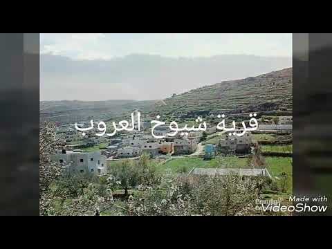 قرية شيوخ العروب