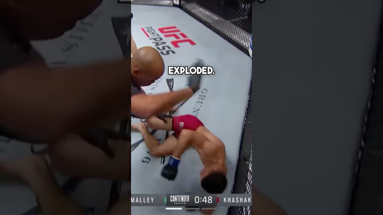 One punch got Sean O’Malley into the ufc 