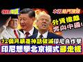 印尼經濟崩盤與鎳礦產業危機