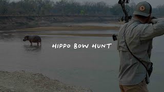 Hippo Bow Hunt - Southerly Pursuit screenshot 5