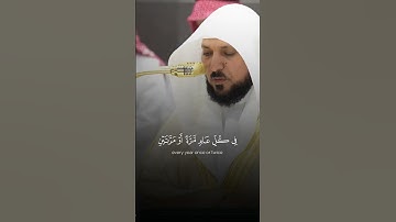 تلاوة من سورة التوبة | الشيخ ماهر المعيقلي