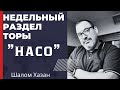 Недельный раздел Торы "Насо"