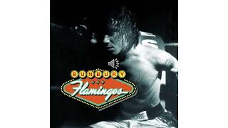 Watch Bunbury No Se Fie video