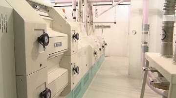 The Hal Ross Flour Mill