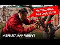 Бишкек мэриясына кайрылуу | Мыктыбек Арстанбек