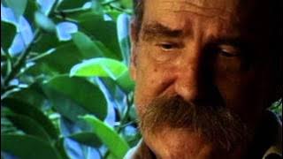 Download lagu QUERIDA VOY A COMPRAR CIGARRILLOS Y VUELVO (Cuento original)