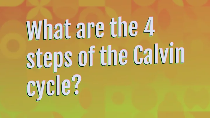 What are the 4 steps of the Calvin cycle?