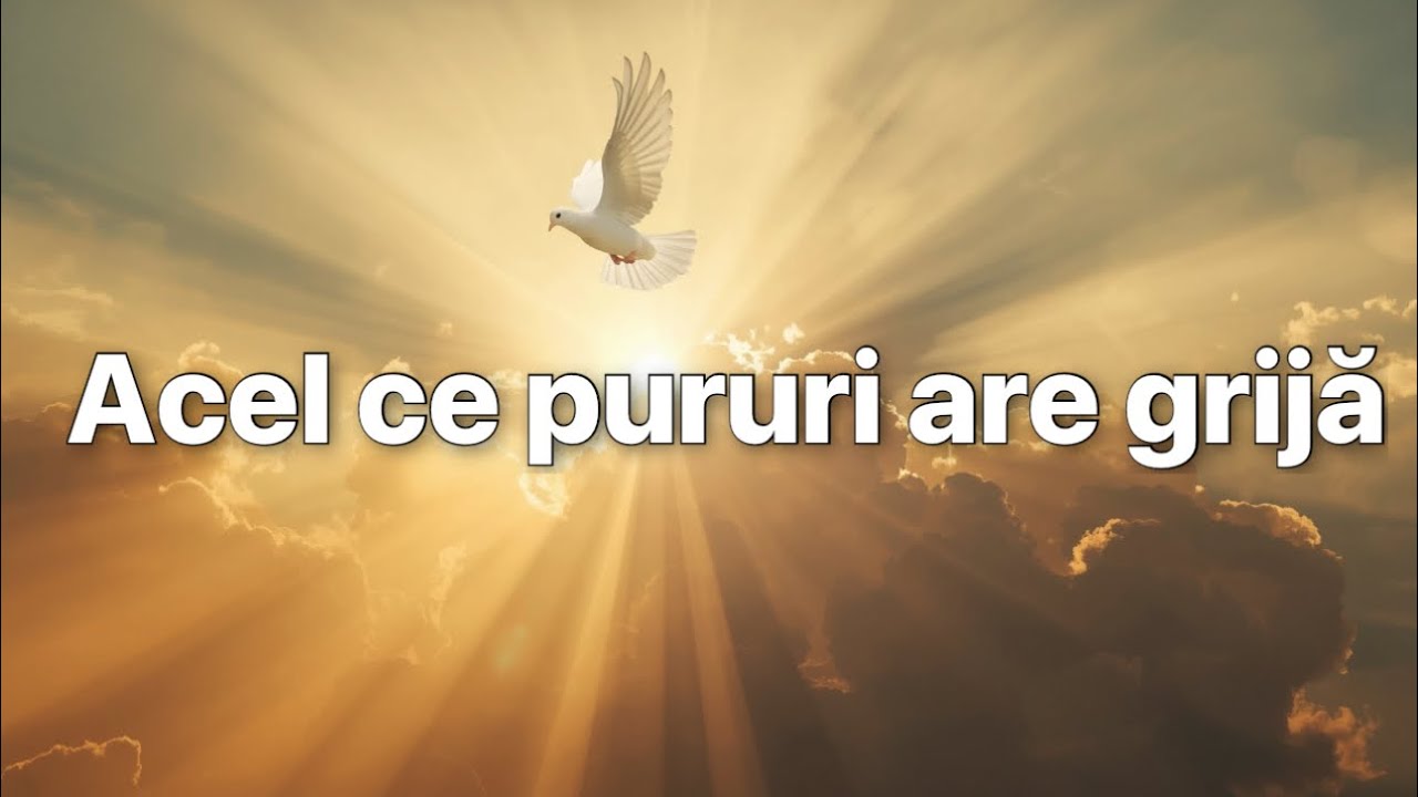 Acel ce pururi are grijă (Cover)
