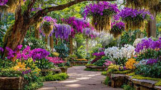 Slow Down, You’re Safe Here 🍀 Soft Music for When Your Heart Feels Off Balance ~ Pause & Breathe screenshot 3