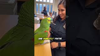 Too Charming Parrot 😍😍 #shorts #viral #funny #talkingparot #parrot #birds #funnybird #funnyparrot