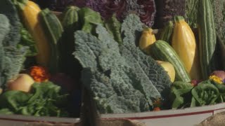 HealthWatch: A Healthier You -Science-Backed Nutrition Tips