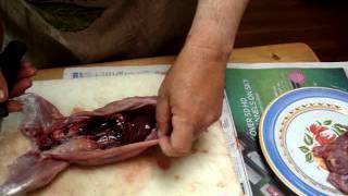 Clean and joint rabbit with Mora Companion knife