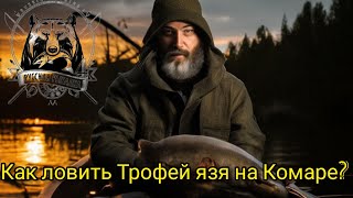 Русская рыбалка 4 Как поймать Трофейного Язя на Комарином