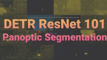 DETR ResNet 101 Panoptic Segmentation