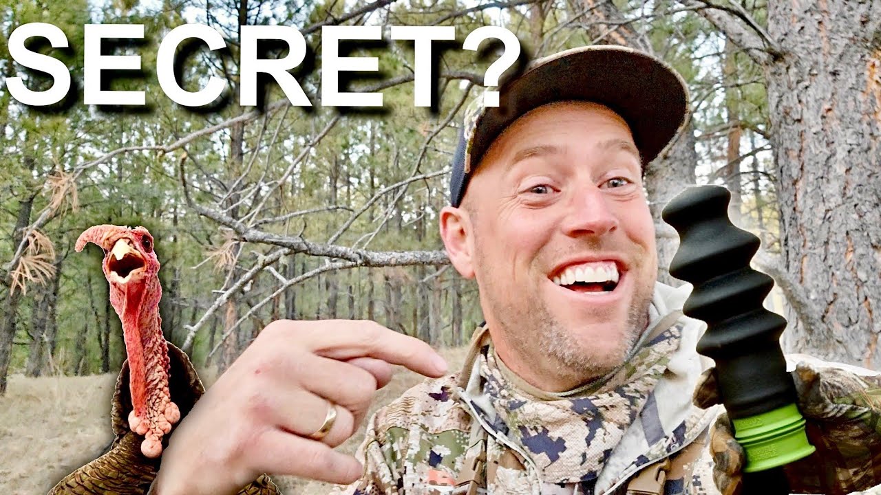 Use This Call To Kill More Turkeys. @Guidedhunts
