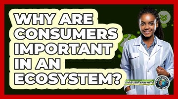 Why Are Consumers Important In An Ecosystem?