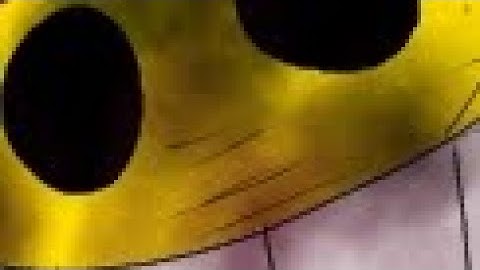 Investor_Video_001_ENG