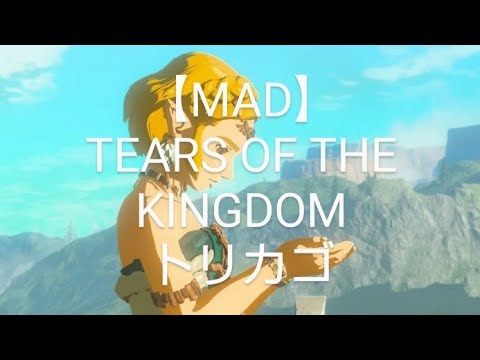 【MAD】ゼルダの伝説　ティアキン　×　トリカゴ　monochrome