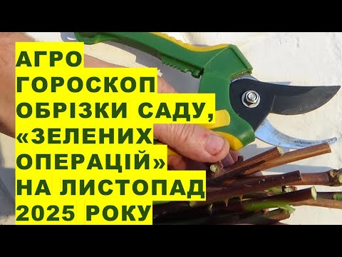 Аграрний гороскоп обрізки садових рослин та зелених операцій на Листопад 2025 року