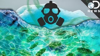 How Global Warming Is Awakening Deadly Diseases How Global Warming Is Awakening Deadly Diseases