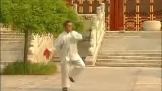 陳式心意混元太極刀三十八式塘路(背面) 馮志強Chen Style Tai Chi