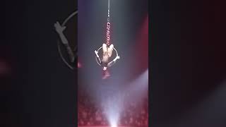 suite #acrobatics #acrobat #show #fypシ゚