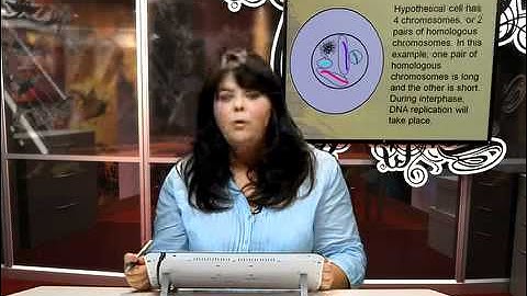 LS Lesson 7 Segment 3 SD Video Sharing copy