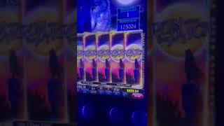 Run With The Pack Slot Full Screen Wilds VLT