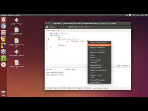 Tutorial: uso di Nemiver per C/C++
