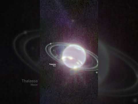 Neptune’s Rings and