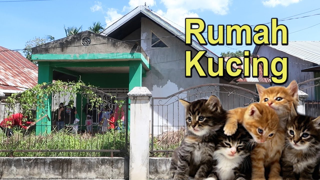 Photo actor kyuranger by Abil Fatan Key