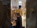 20 августа 2024 г.