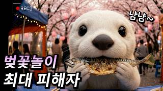 혼자 가서 망신 당한 벚꽃놀이!