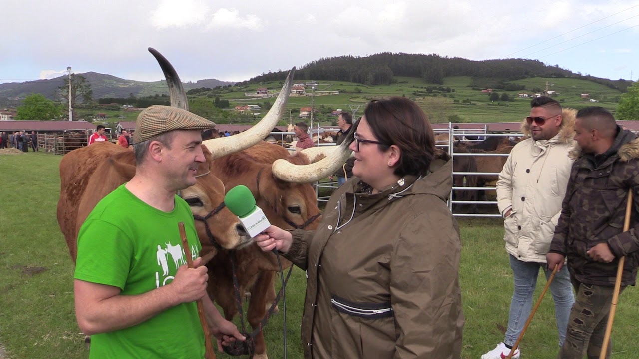 Entrevista a Mario Nogueira, propietario de bueyes /El Campo de Asturias