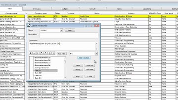 Combining Two Expressions in One Custom Field